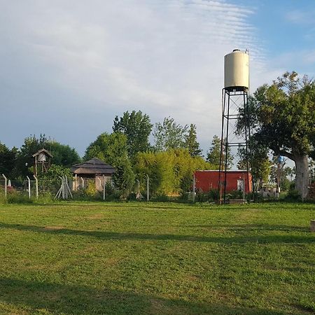 Terrabox Apart De Contenedores Olivera Zimmer foto
